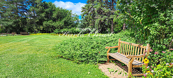 Garden Bench 4 - August 01, 2024