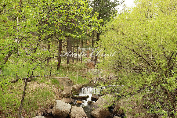 Custer State Park 6 - May 24, 2023
