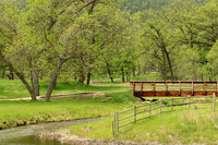 Custer State Park 10 - May 24, 2023