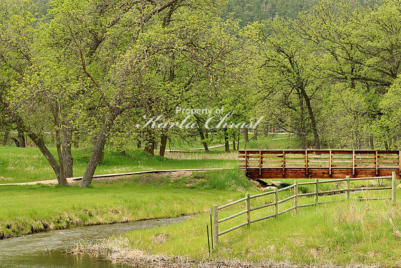 Custer State Park 10 - May 24, 2023