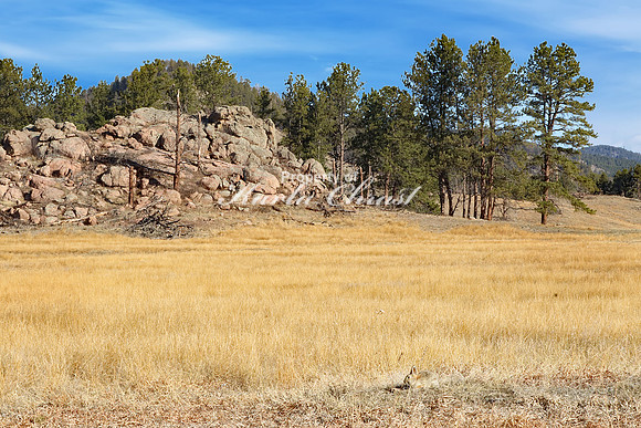 Wind Cave National Park South Dakota 10 - April 16, 2023
