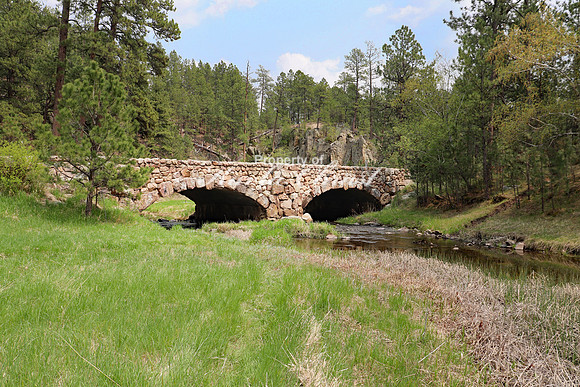 Custer State Park 7 - May 24, 2023