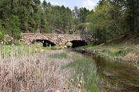 Custer State Park 8 - May 24, 2023