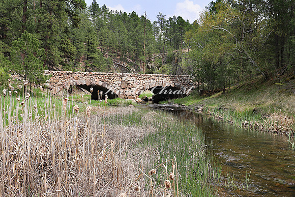Custer State Park 8 - May 24, 2023