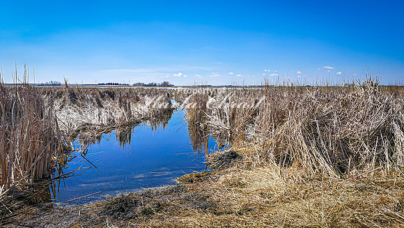Mickelson Wetland Memorial 2 - April 11, 2025