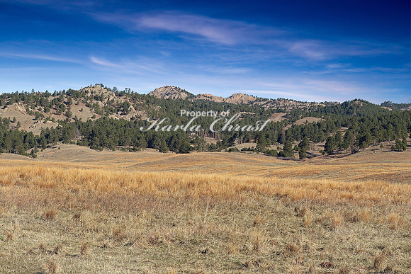 Wind Cave National Park South Dakota 7 - April 16, 2023