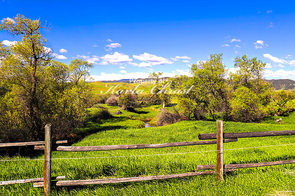 Fort Phil Kearny State Historic Site 19 - June 5, 2024 Wyoming