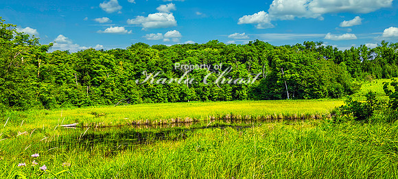 North Country National Scenic Trail 29 - July 30, 2024
