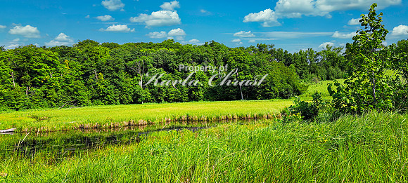 North Country National Scenic Trail 26 - July 30, 2024