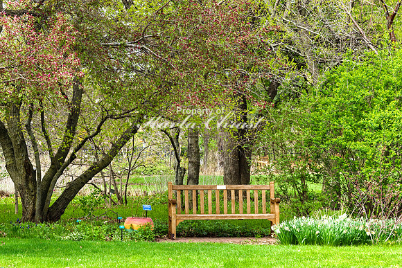 Garden Bench - May 03, 2024