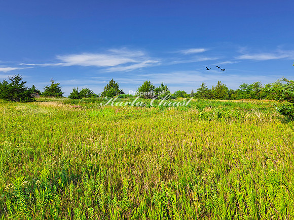 Lake Vermillion Recreation Area 6 - August 10, 2023