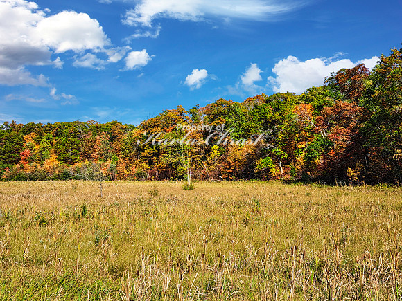 Tamarac National Wildlife Refuge 47 - September 26, 2023