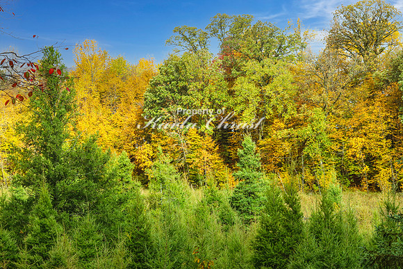 Tamarac National Wildlife Refuge 74 - September 26, 2023