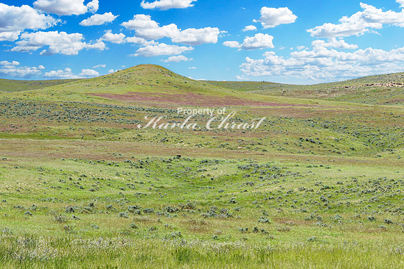 Crazy Woman Crossing 33 - June 5, 2024 Wyoming