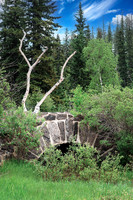 Custer State Park 64 - June 12, 2023