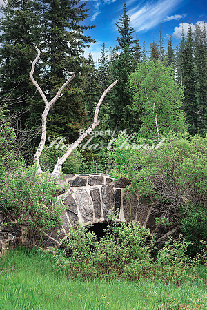 Custer State Park 64 - June 12, 2023