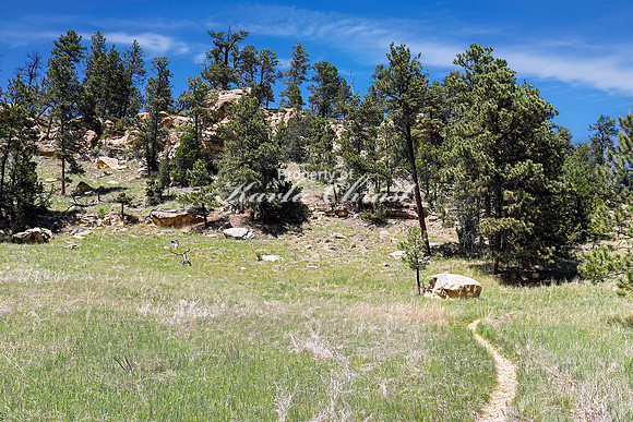 Devils Tower National Monument Joyner Ridge Trail 9- June 4, 2024