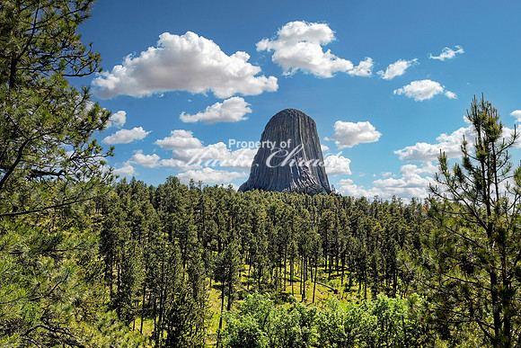 Devils Tower National Monument 18 - June 4, 2024