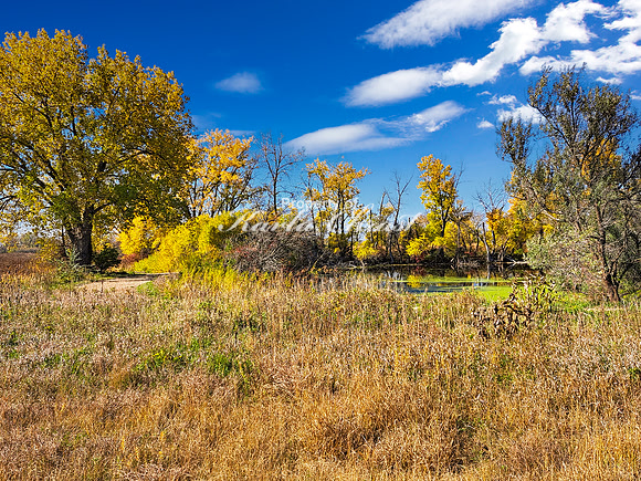 Pelican Lake Recreation Area 19 - October 19, 2023 Pelican Lake Recreation Area South Dakota