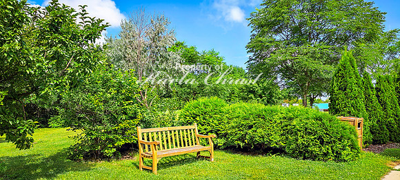 Garden Bench 3 - August 01, 2024
