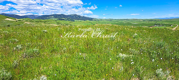 Fetterman Massacre Monument 4 - June 5, 2024 Wyoming