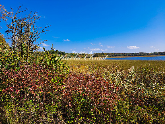 Tamarac National Wildlife Refuge 50 - September 26, 2023