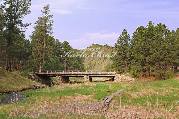 Custer State Park 11 - May 25, 2023