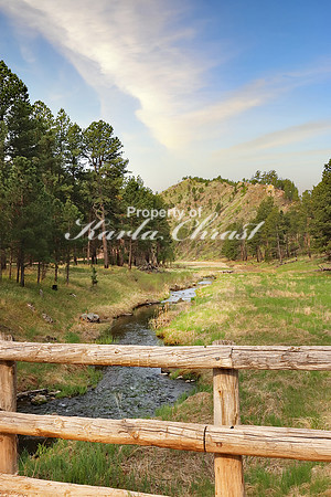 Custer State Park 12 - May 25, 2023