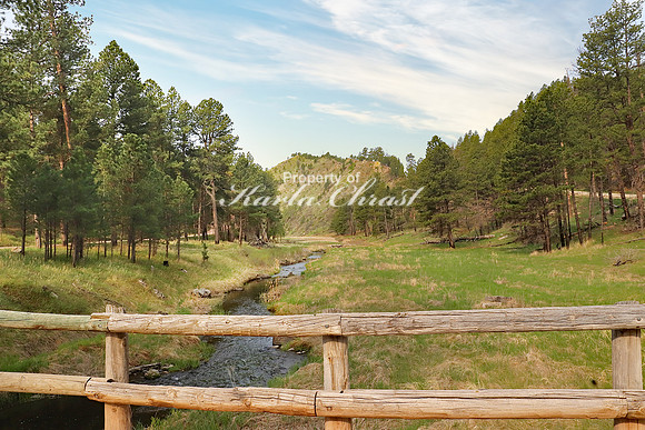 Custer State Park 13 - May 25, 2023