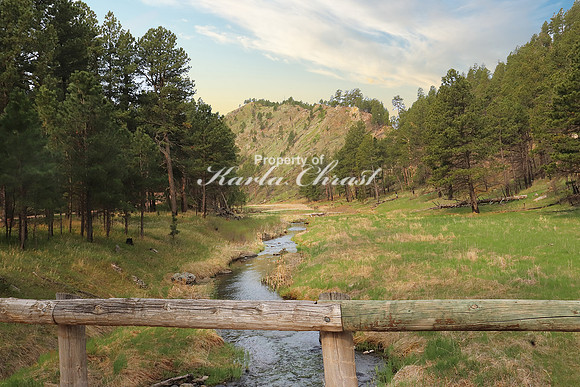 Custer State Park 14 - May 25, 2023