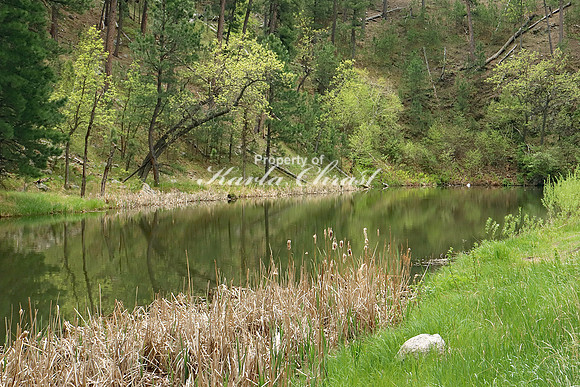 Custer State Park 15- May 25, 2023