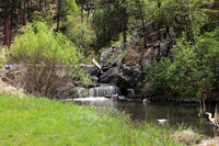 Custer State Park 16- May 25, 2023