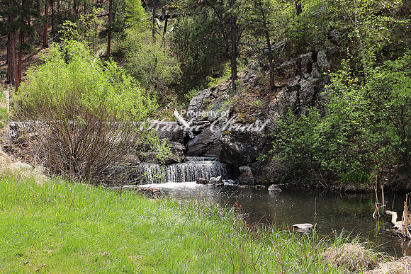 Custer State Park 16- May 25, 2023