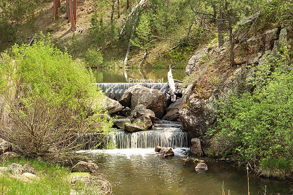 Custer State Park 17- May 25, 2023