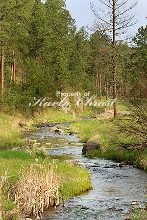Custer State Park 18 - May 25, 2023