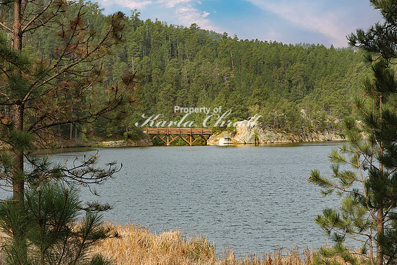 Custer State Park 20 - May 25, 2023