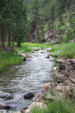 Custer State Park 21 - June 10, 2023