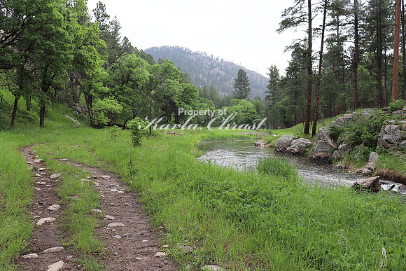 Custer State Park 22 - June 10, 2023