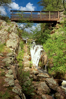 Custer State Park 25 - June 11, 2023