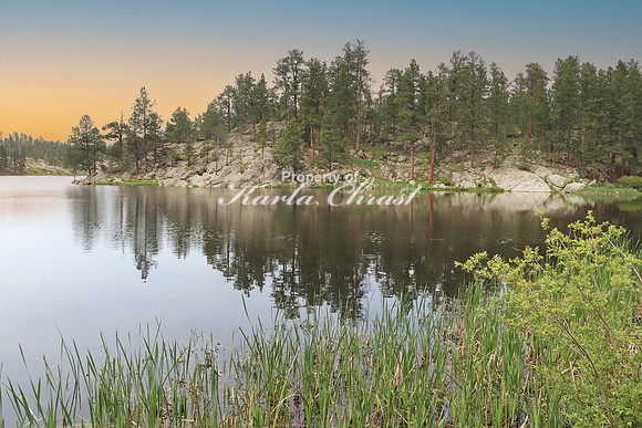 Custer State Park 26 - June 11, 2023