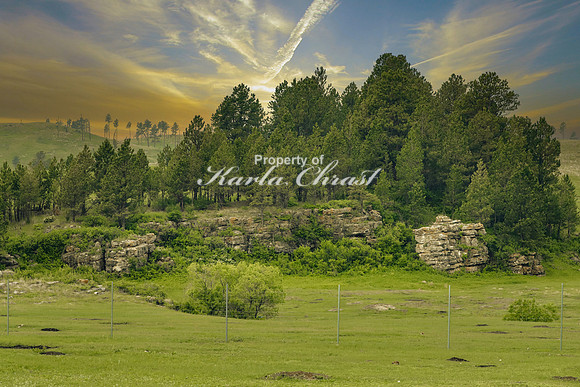 Custer State Park 28 - June 11, 2023