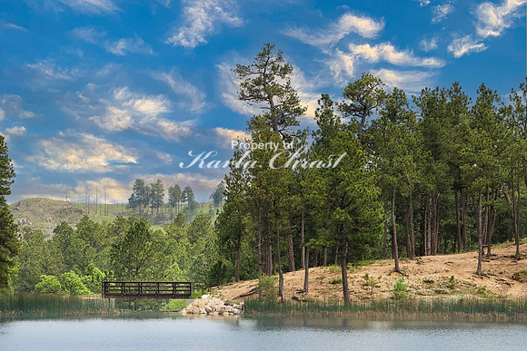 Custer State Park 30 - June 11, 2023