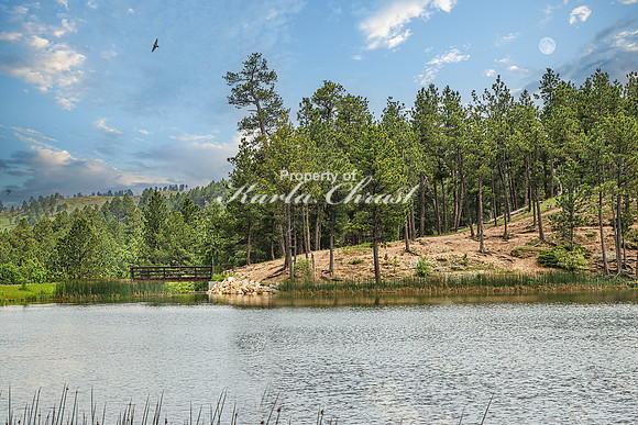 Custer State Park 31 - June 11, 2023