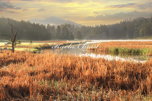 Custer State Park 32 - June 11, 2023
