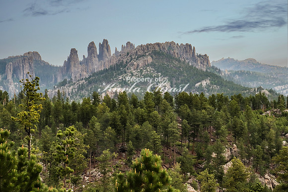 Custer State Park 35 - June 11, 2023