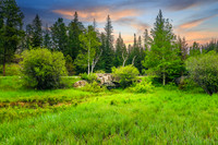Custer State Park 38 - June 11, 2023