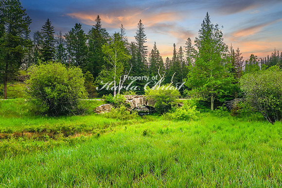Custer State Park 38 - June 11, 2023