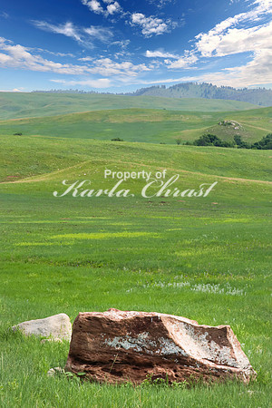 Custer State Park 40 - June 12, 2023