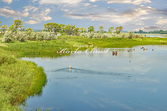 Big Stone National Wildlife Refuge 4 - May 31, 2023