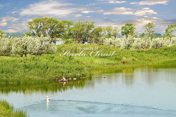 Big Stone National Wildlife Refuge 5 - May 31, 2023